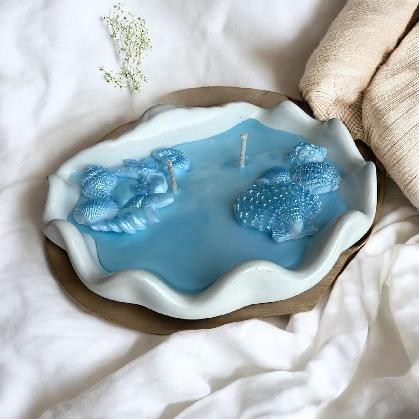 Seashell, Concrete Jar Candle