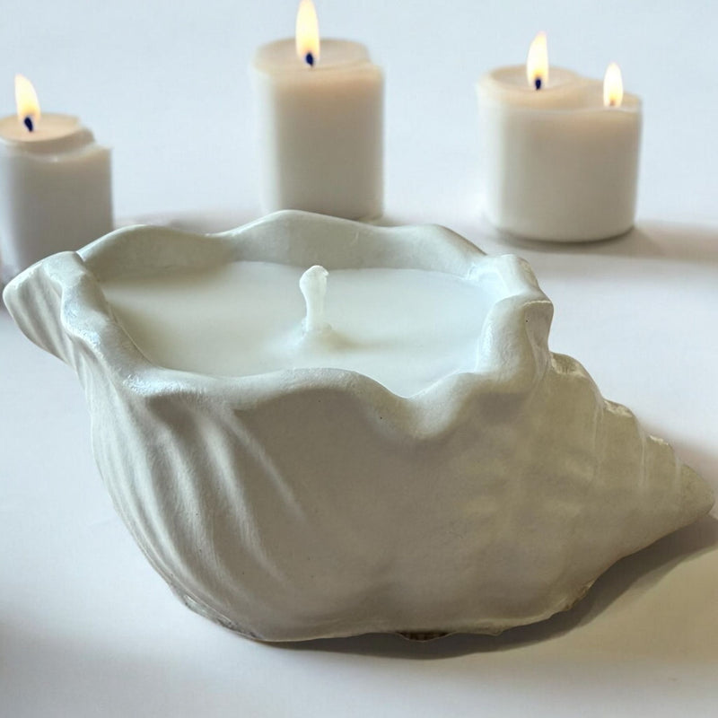 Concrete Shell, Decorative Candle, Coconut Apricot Luxury Wax.