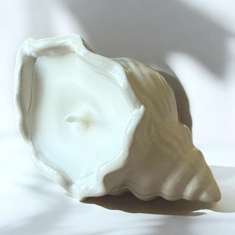 Concrete Shell, Decorative Candle, Coconut Apricot Luxury Wax.