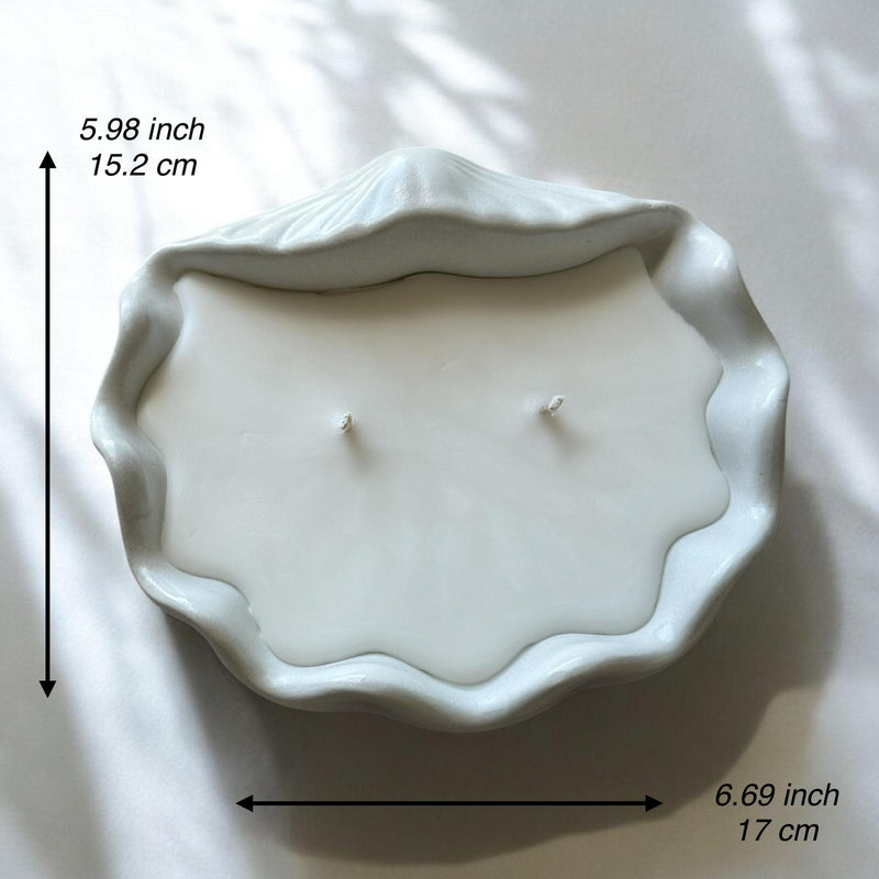 Concrete Shell, Decorative Candle, Coconut Apricot Luxury Wax.