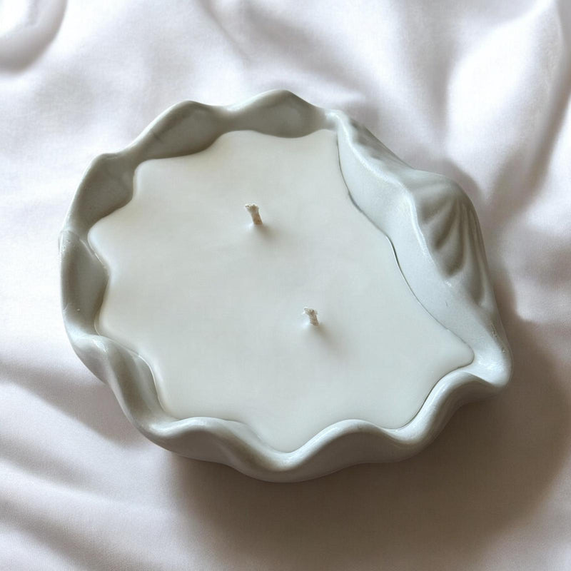 Concrete Shell, Decorative Candle, Coconut Apricot Luxury Wax.